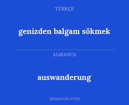 auswanderung - genizden balgam sökmek