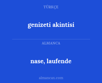 nase, laufende - genizeti akintisi