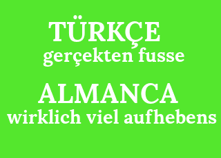ger%C3%A7ekten+fusse-wirklich+viel+aufhebens.png