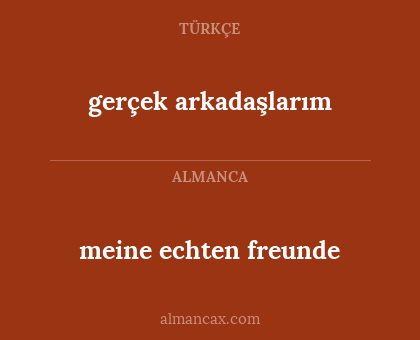 meine echten freunde - gerçek arkadaşlarım