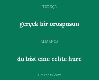 du bist eine echte hure - gerçek bir orospusun