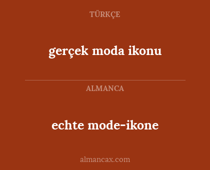 gerçek moda ikonu - echte mode-ikone
