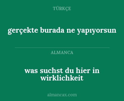 gerçekte burada ne yapıyorsun - was suchst du hier in wirklichkeit