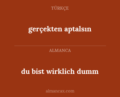 gerçekten aptalsın - du bist wirklich dumm