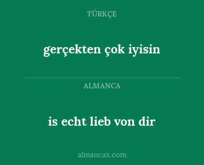 is echt lieb von dir - gerçekten çok iyisin