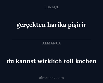 gerçekten harika pişirir - du kannst wirklich toll kochen