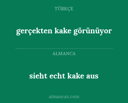 sieht echt kake aus - gerçekten kake görünüyor