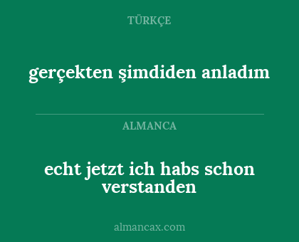 gerçekten şimdiden anladım - echt jetzt ich habs schon verstanden