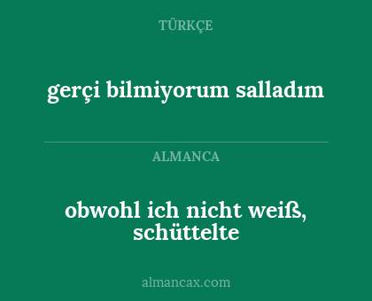 gerçi bilmiyorum salladım - obwohl ich nicht weiß, schüttelte