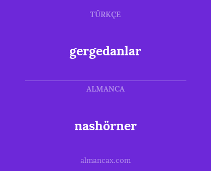 nashörner - gergedanlar