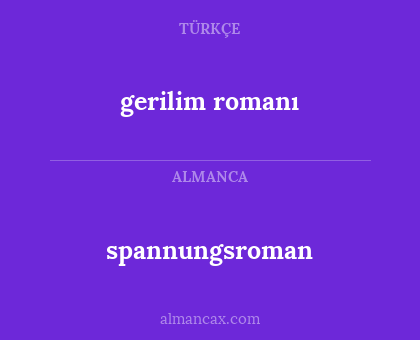 gerilim romanı - spannungsroman