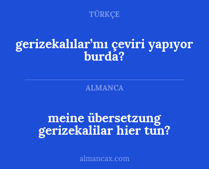 gerizekalılar’mı çeviri yapıyor burda? - meine übersetzung gerizekalilar hier tun?