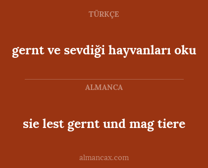 sie lest gernt und mag tiere - gernt ve sevdiği hayvanları oku