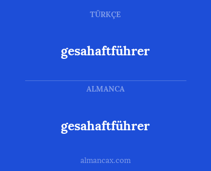 gesahaftführer - gesahaftführer