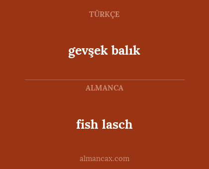 fish lasch - gevşek balık