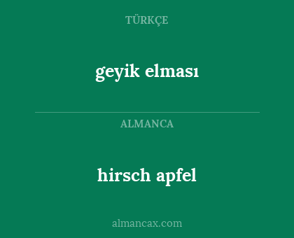 hirsch apfel - geyik elması