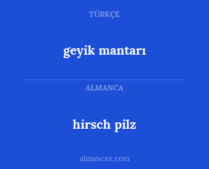 geyik mantarı - hirsch pilz