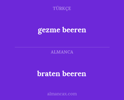 gezme beeren - braten beeren