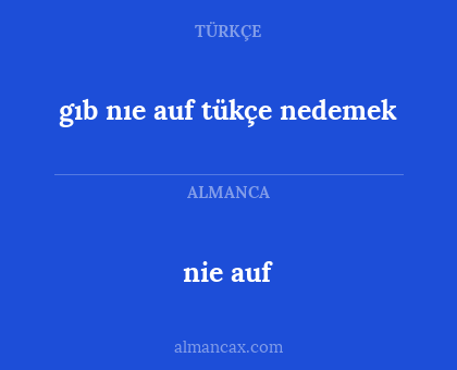 gıb nıe auf tükçe nedemek - nie auf