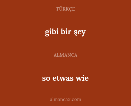 so etwas wie - gibi bir şey