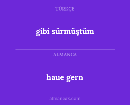 gibi sürmüştüm - haue gern