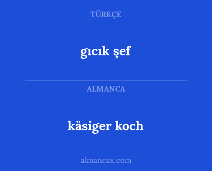 käsiger koch - gıcık şef