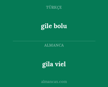 gila viel - gile bolu