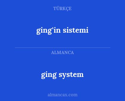 ging system - ging'in sistemi