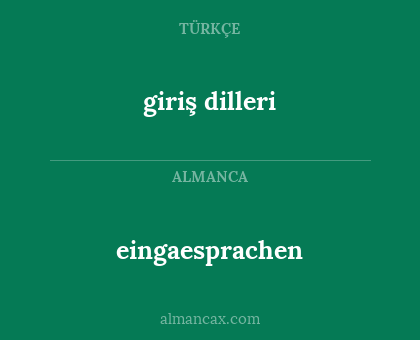 eingaesprachen - giriş dilleri