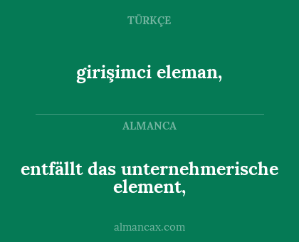 entfällt das unternehmerische element, - girişimci eleman,
