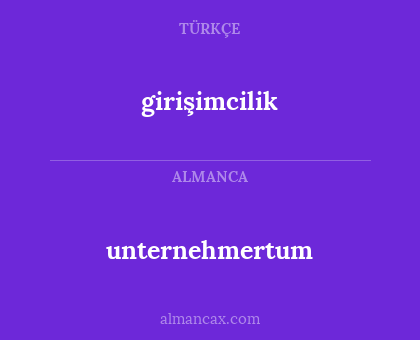 girişimcilik - unternehmertum