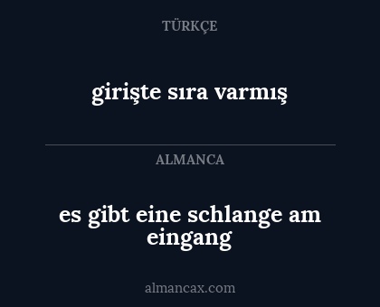 es gibt eine schlange am eingang - girişte sıra varmış