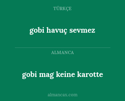 gobi havuç sevmez - gobi mag keine karotte