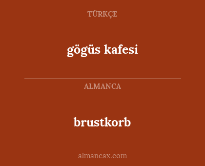 brustkorb - gögüs kafesi