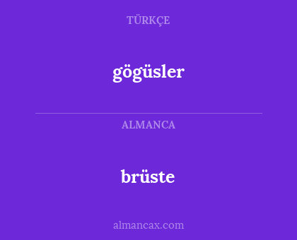 brüste - gögüsler