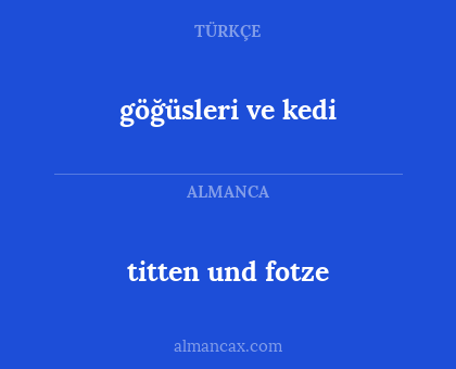 titten und fotze - göğüsleri ve kedi