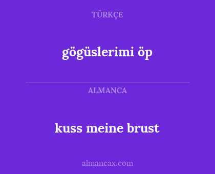 gögüslerimi öp - kuss meine brust