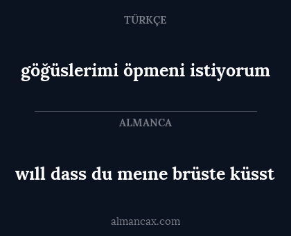 wıll dass du meıne brüste küsst - göğüslerimi öpmeni istiyorum