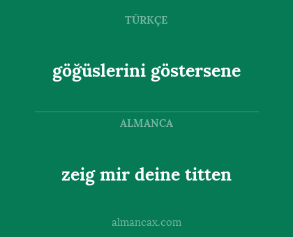 zeig mir deine titten - göğüslerini göstersene