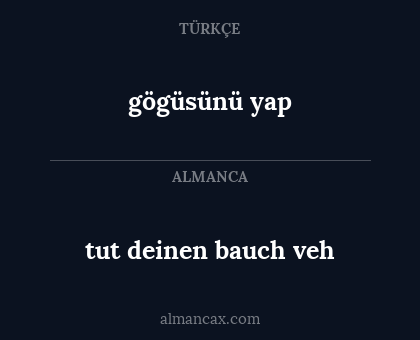 gögüsünü yap - tut deinen bauch veh