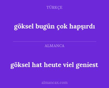 göksel bugün çok hapşırdı - göksel hat heute viel geniest