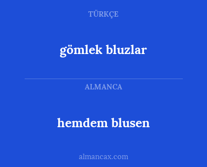 gömlek bluzlar - hemdem blusen