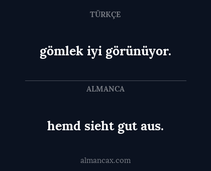 gömlek iyi görünüyor. - hemd sieht gut aus.