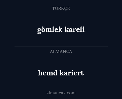 hemd kariert - gömlek kareli