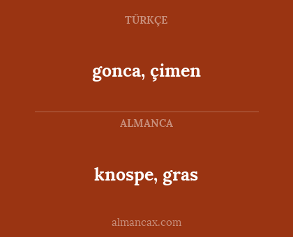 gonca, çimen - knospe, gras