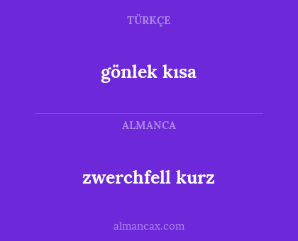 gönlek kısa - zwerchfell kurz