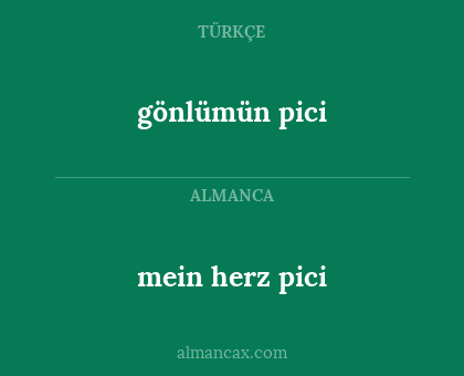 gönlümün pici - mein herz pici
