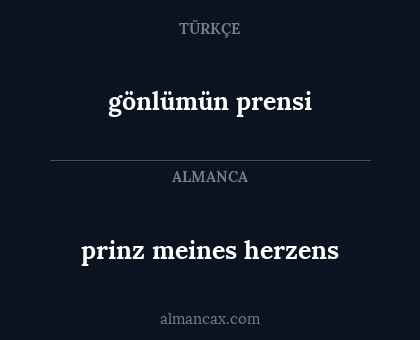 gönlümün prensi - prinz meines herzens