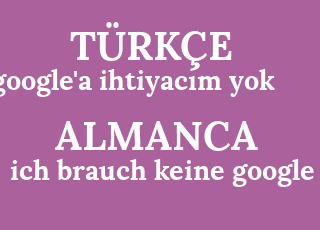 google%26%2339%3Ba+ihtiyac%C4%B1m+yok-ich+brauch+keine+google.png