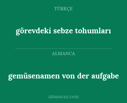 gemüsenamen von der aufgabe - görevdeki sebze tohumları